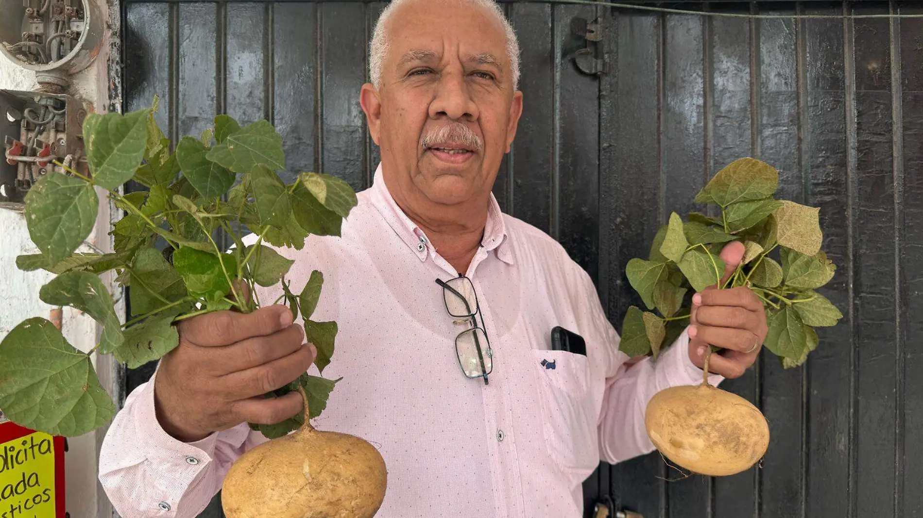 Productor agrícola en Tampico Alto Tomás García Valdez